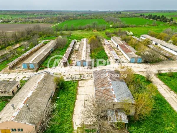 Производство, Долни Дъбник, Северозападна България - снимка 5 от 7