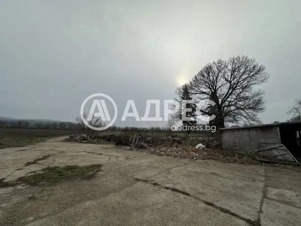 Склад, Генерал Тошево, Североизточна България - снимка 5 от 9