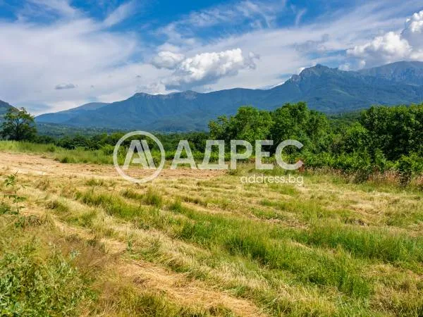 Парцел, Априлци, Северозападна България - снимка 2 от 7
