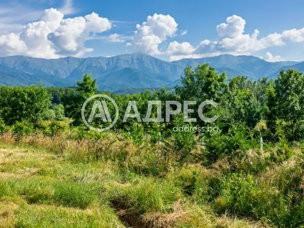 Парцел, Априлци, Северозападна България - снимка 6 от 7