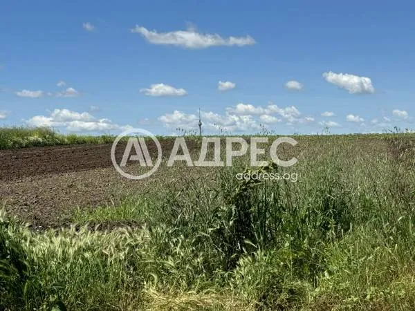 Парцел, Чародейка, Русе