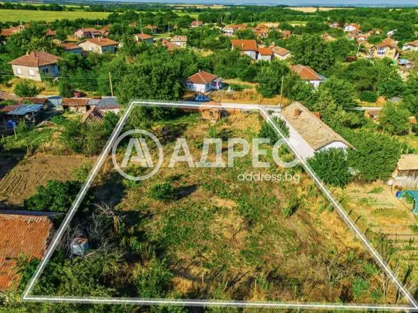 Парцел, Долни Дъбник, Северозападна България - снимка 4 от 7