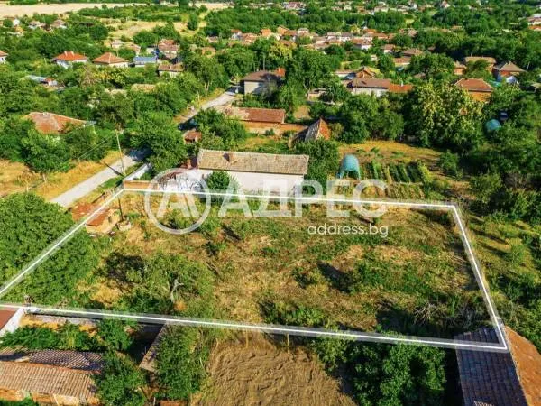Парцел, Долни Дъбник, Северозападна България - снимка 5 от 7