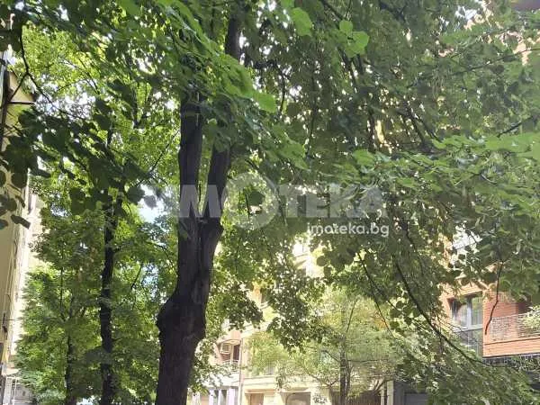 2-стаен, Хиподрума, София - снимка 12 от 13
