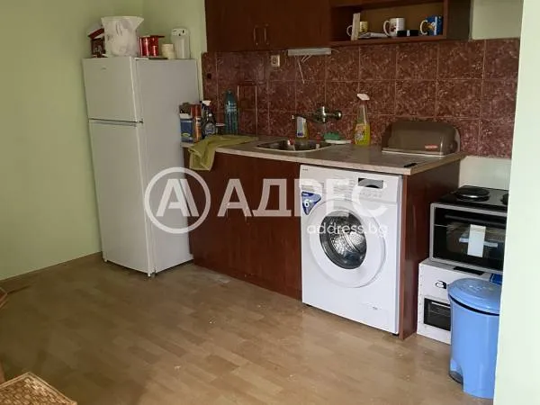 1-стаен, Плевен, Северозападна България