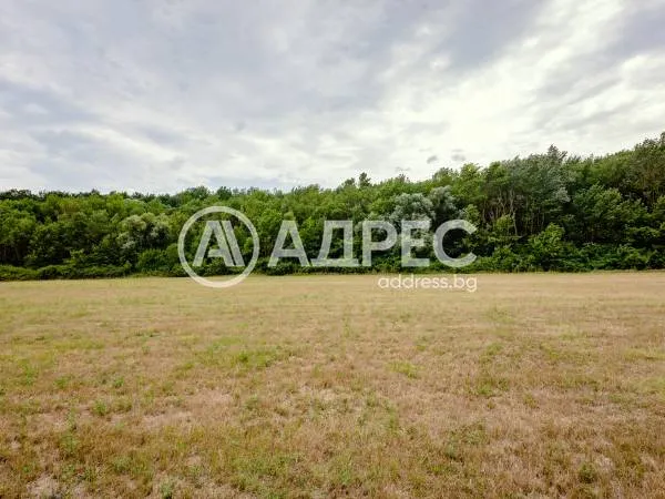 Парцел, Долни Чифлик, Североизточна България - снимка 8 от 12