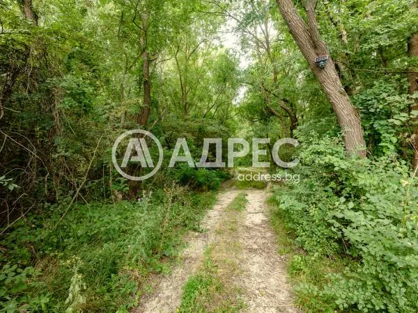 Парцел, Долни Чифлик, Североизточна България - снимка 5 от 12