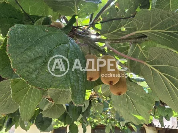 Къща, Ямбол, Югоизточна България - снимка 6 от 27