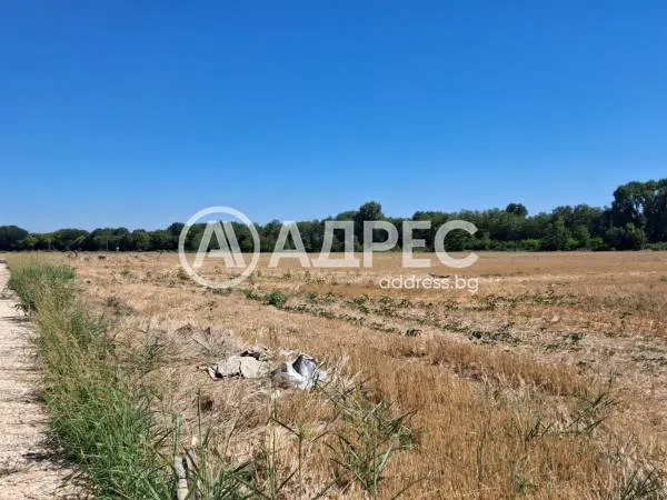 Парцел, Садово, Южна България