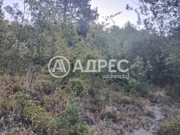 Парцел, Сливен, Югоизточна България - снимка 2 от 4