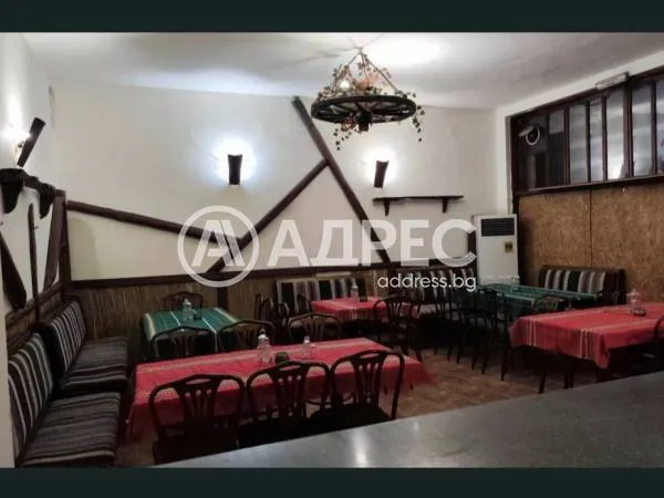 Магазин, Плевен, Северозападна България