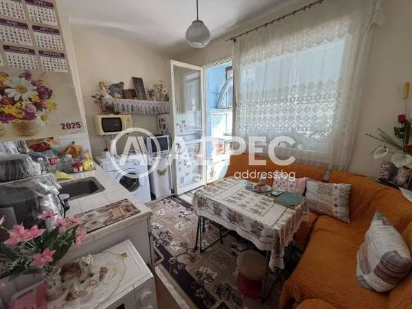 1-стаен, Плевен, Северозападна България