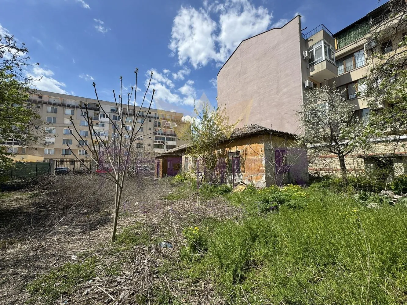 Property