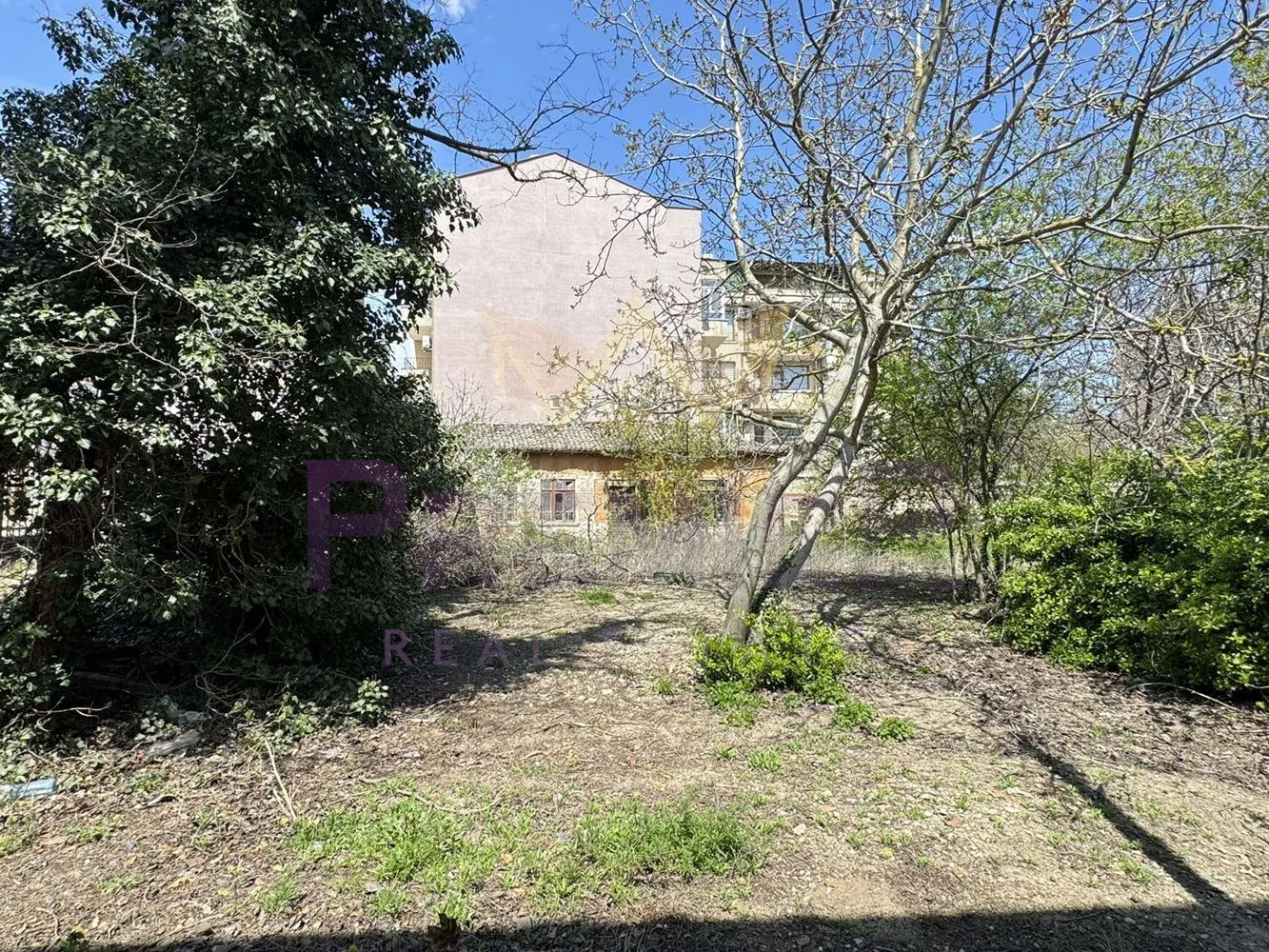 Property