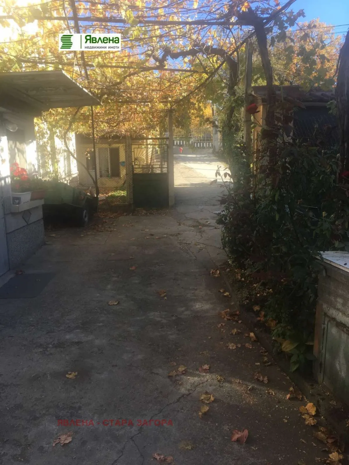 Property
