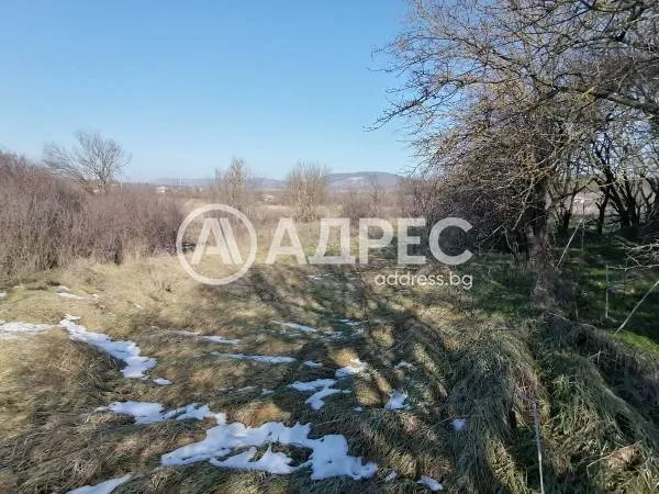 Парцел, Нови Пазар, Североизточна България - снимка 4 от 7
