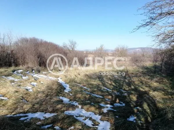 Парцел, Нови Пазар, Североизточна България