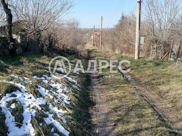 Парцел, Нови Пазар, Североизточна България - снимка 6 от 7